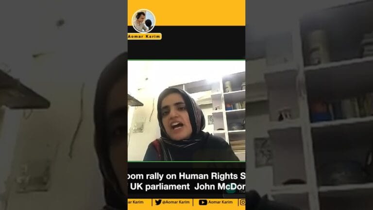 Aomar Karim Youtube Channel Watch full debate: youtu.be/kKEoEDkdGO0 #MahrangBaloch #balochistan #humanrights maxresdefault 13